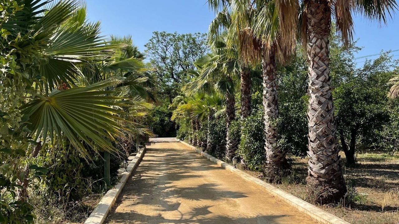 Photo of Outdoor in Sanlucar la Mayor