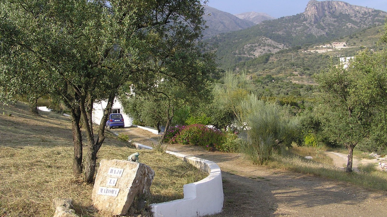 Photo of Others in Canillas de Aceituno