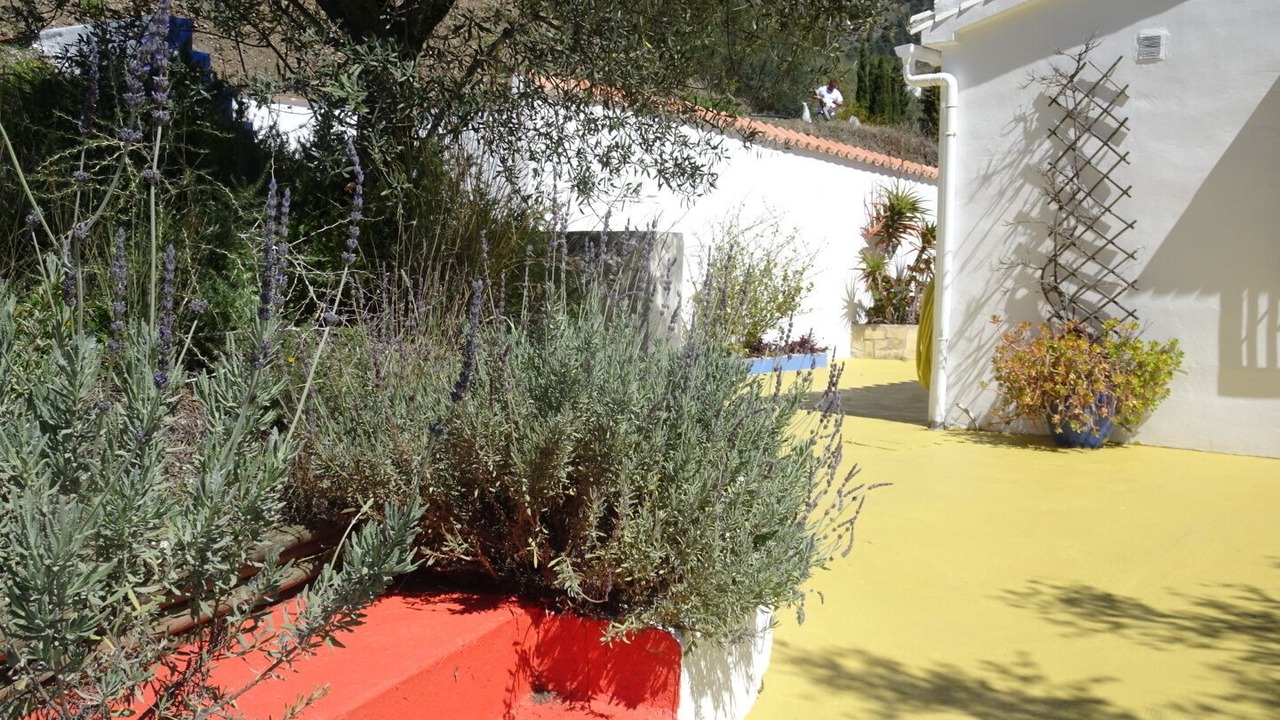 Photo of Others in Canillas de Aceituno