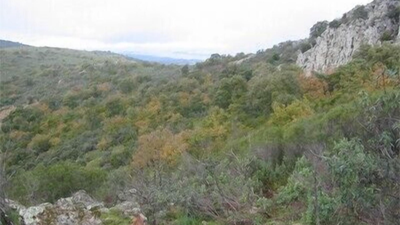 Photo of Outdoor in Pozoblanco