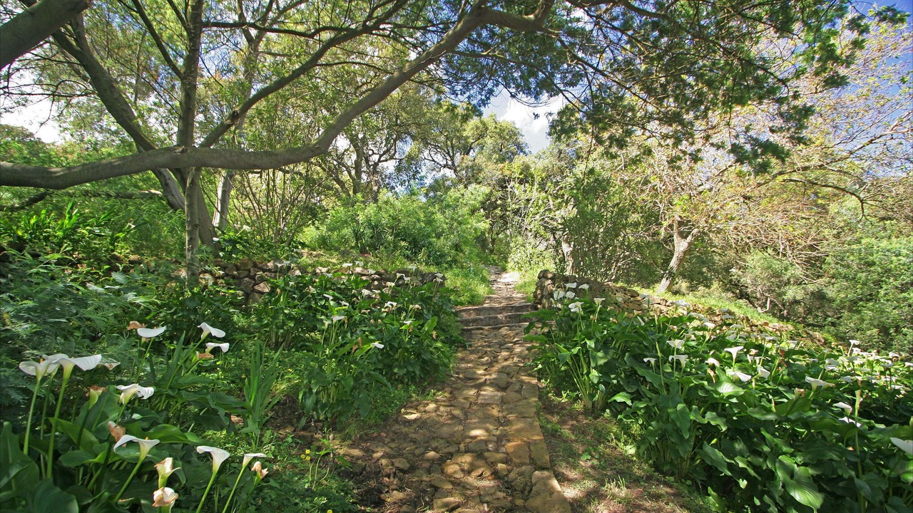Photo of Outdoor in Cabrita