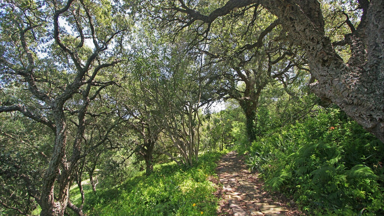 Photo of Outdoor in Cabrita