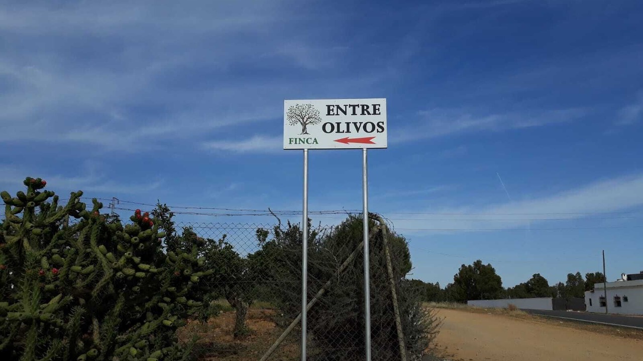 Photo of Outdoor in Mairena del Alcor