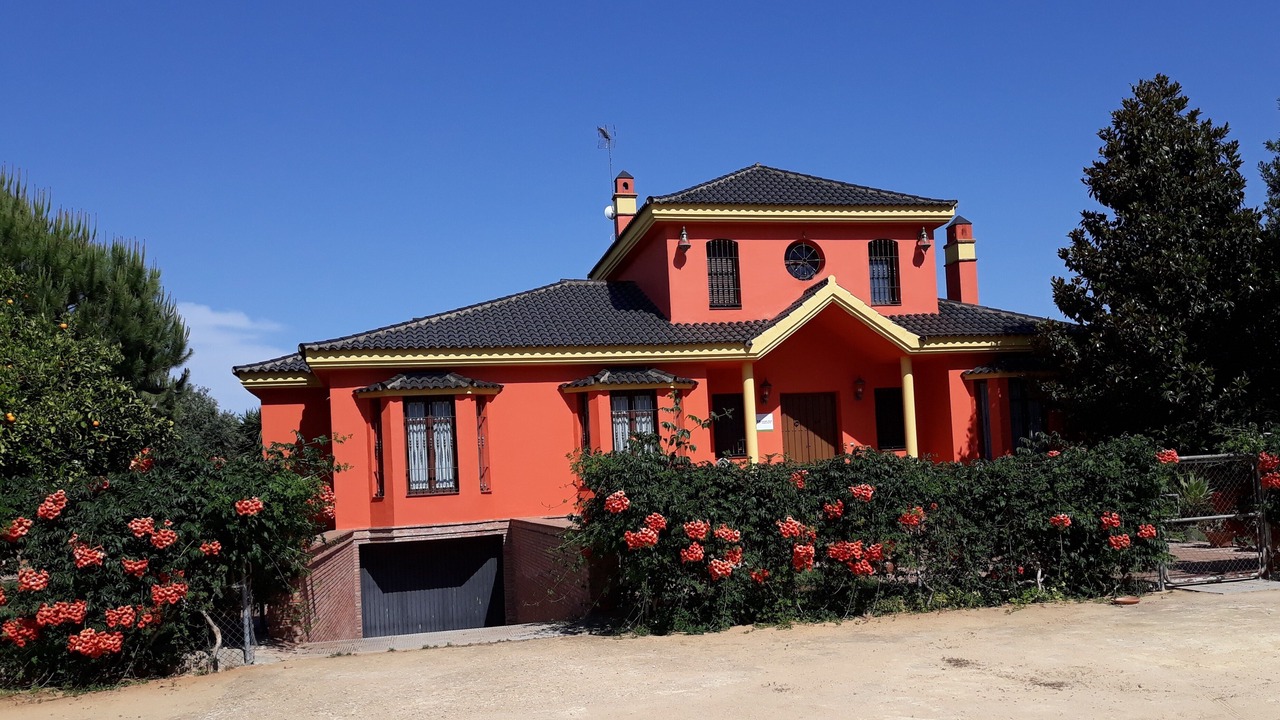 Photo of Outdoor in Mairena del Alcor