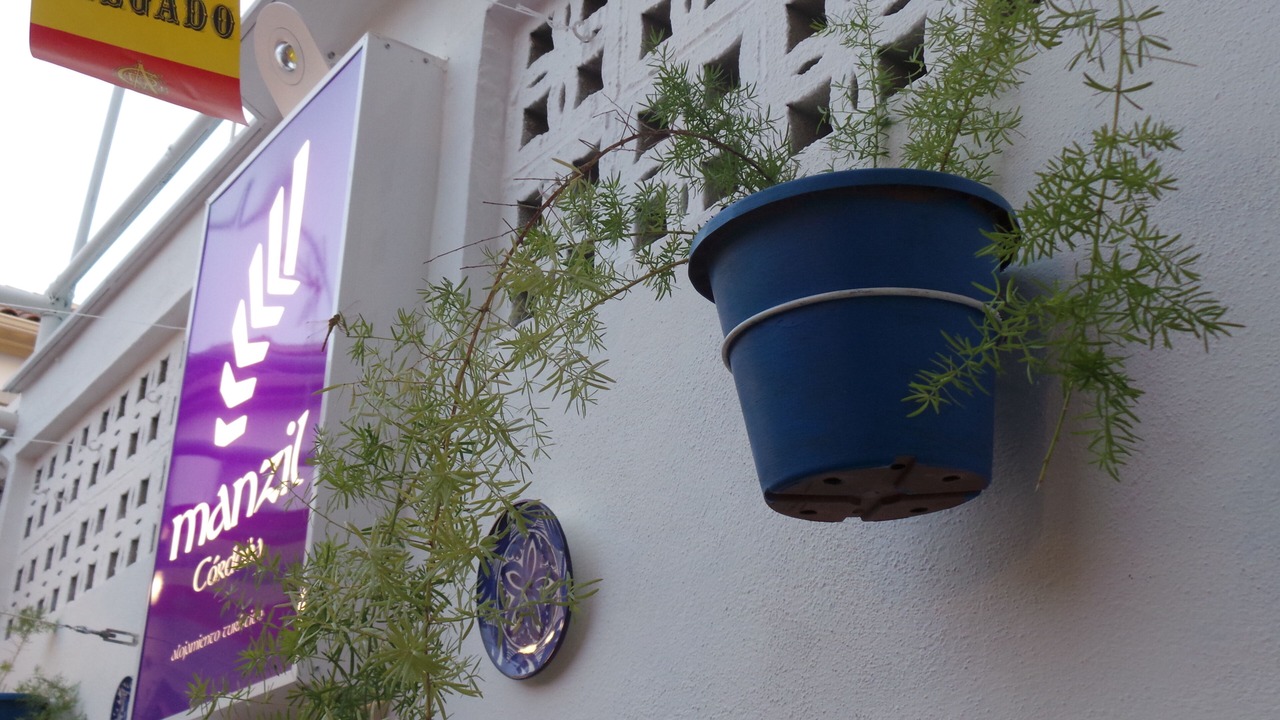 Photo of Outdoor in Distrito Sur