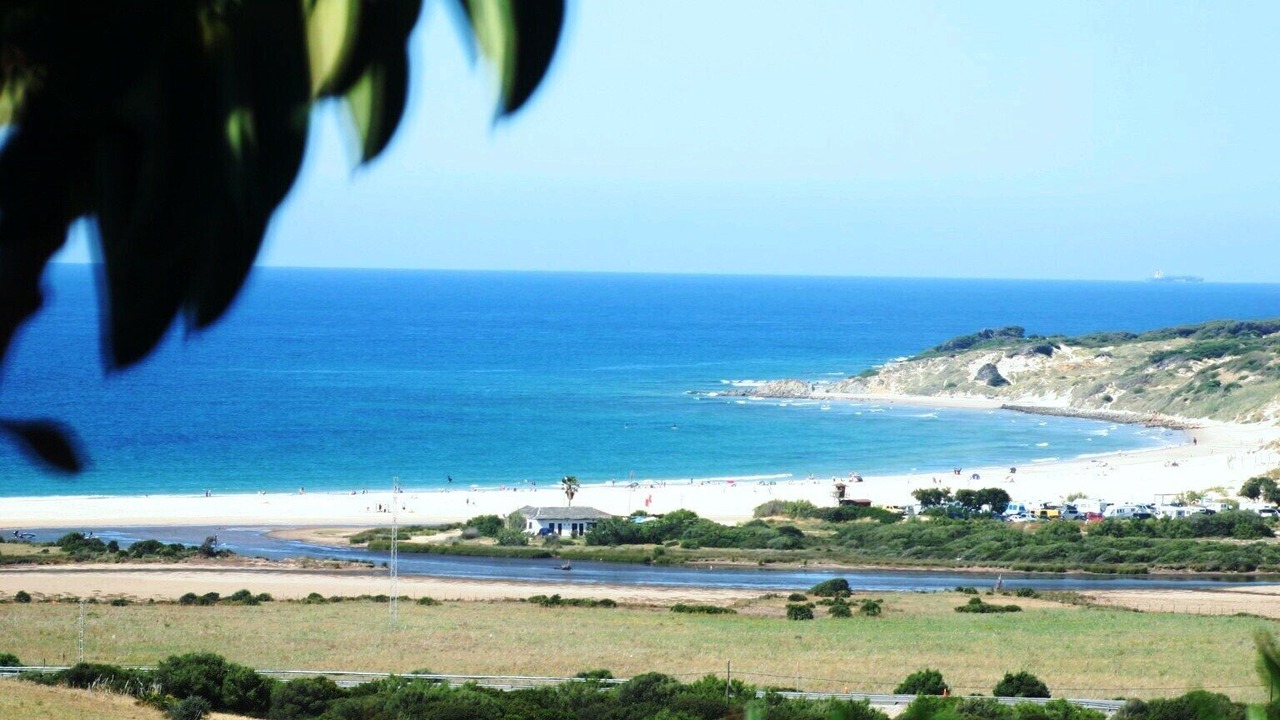 Photo of Others in Bolonia