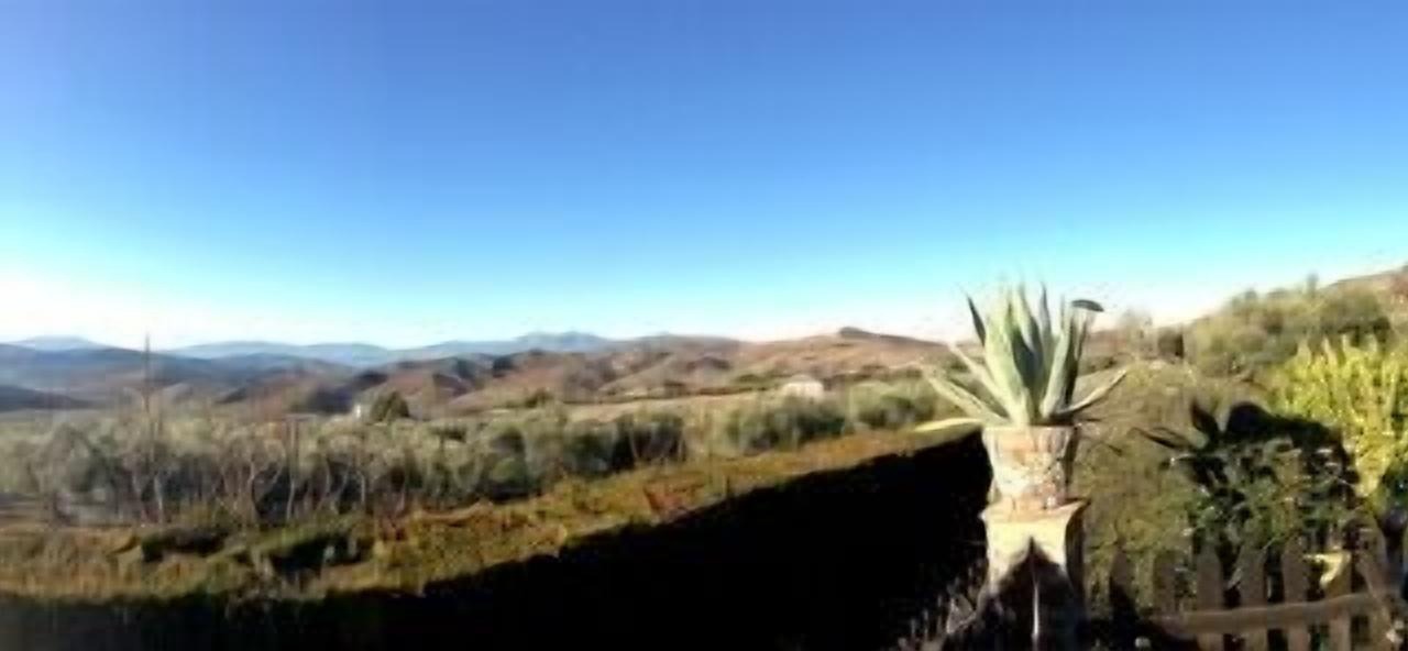 Photo of Others in Antequera