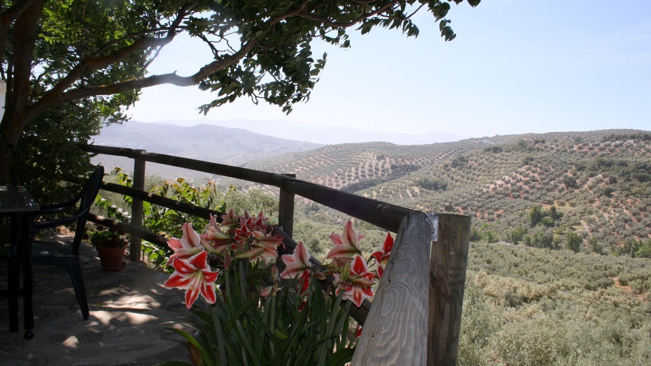Photo of Outdoor in Iznajar