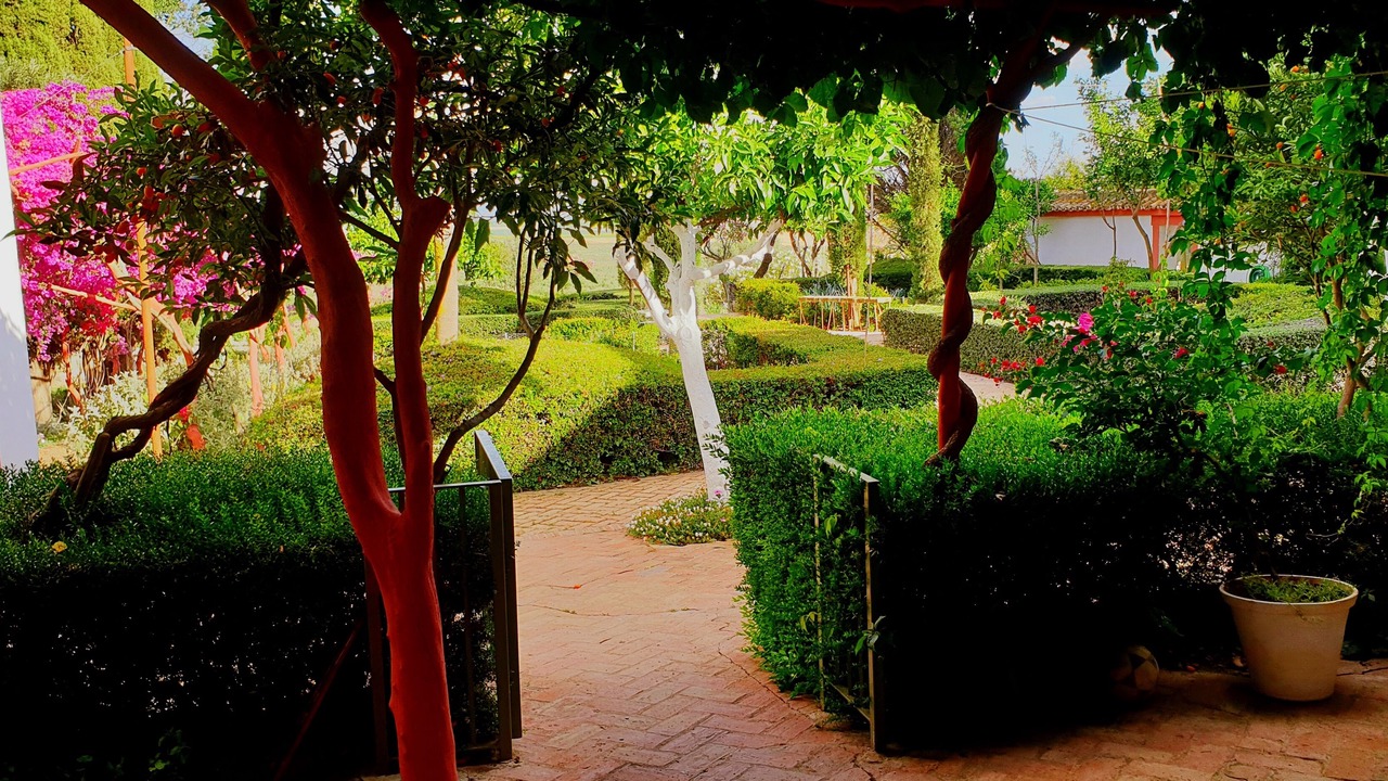 Photo of Outdoor in Carmona