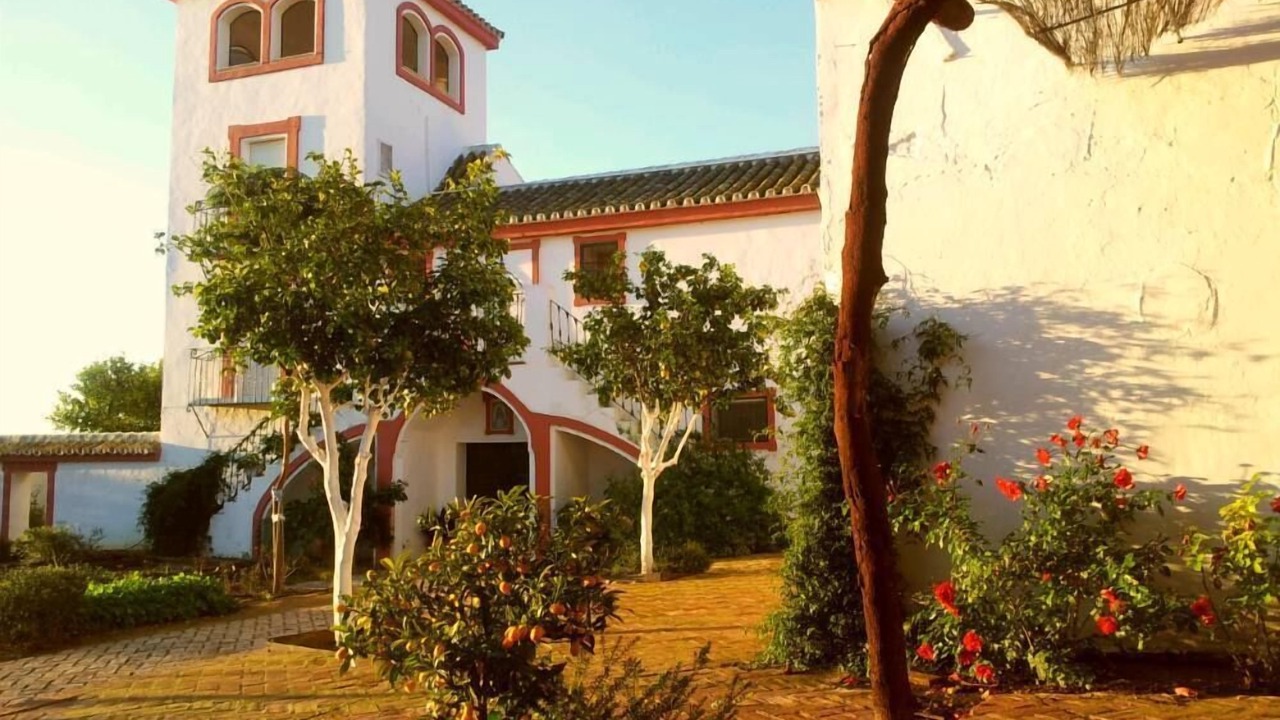 Photo of Outdoor in Carmona