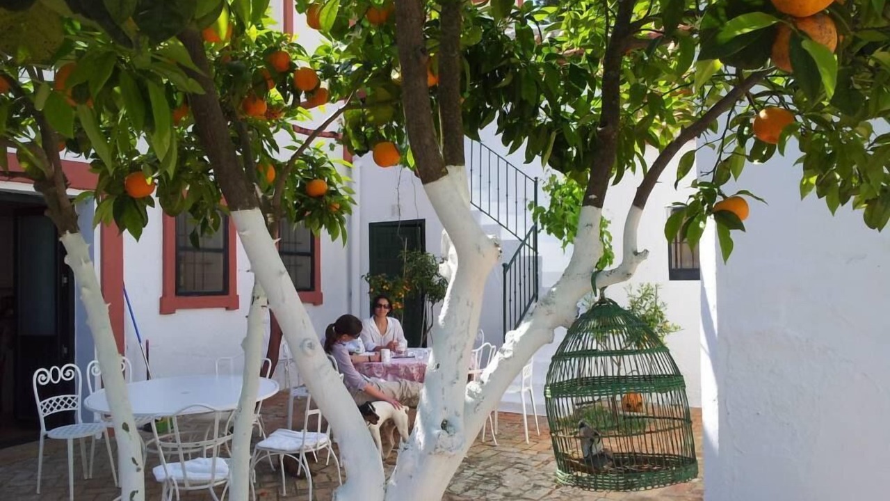 Photo of Outdoor in Carmona