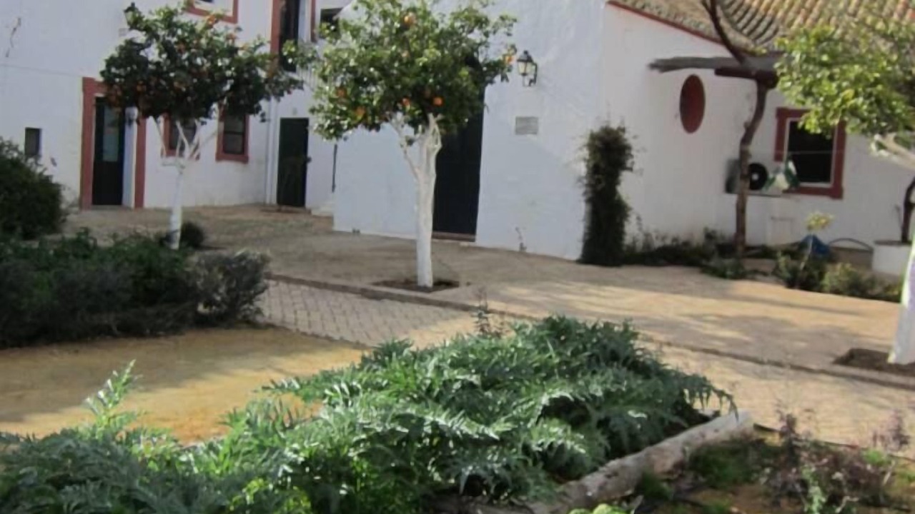 Photo of Outdoor in Carmona