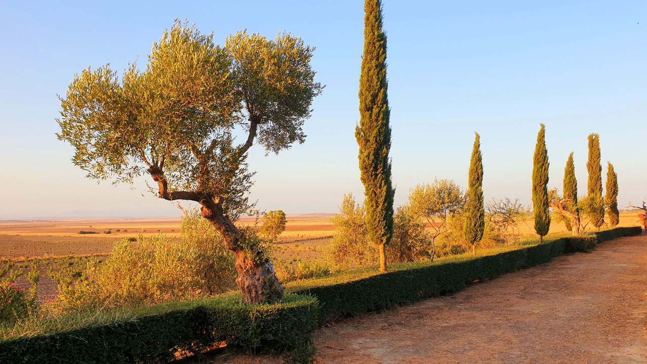 Photo of Outdoor in Carmona