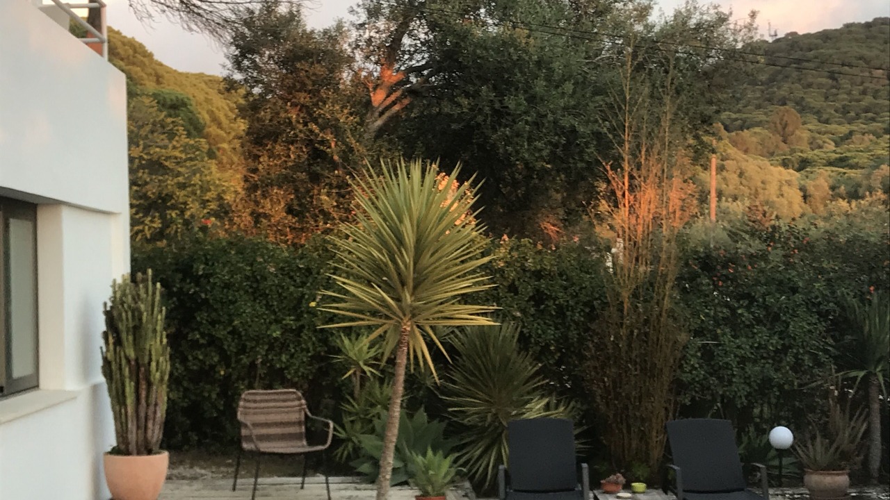 Photo of Patio Balcony in Los Canos de Meca