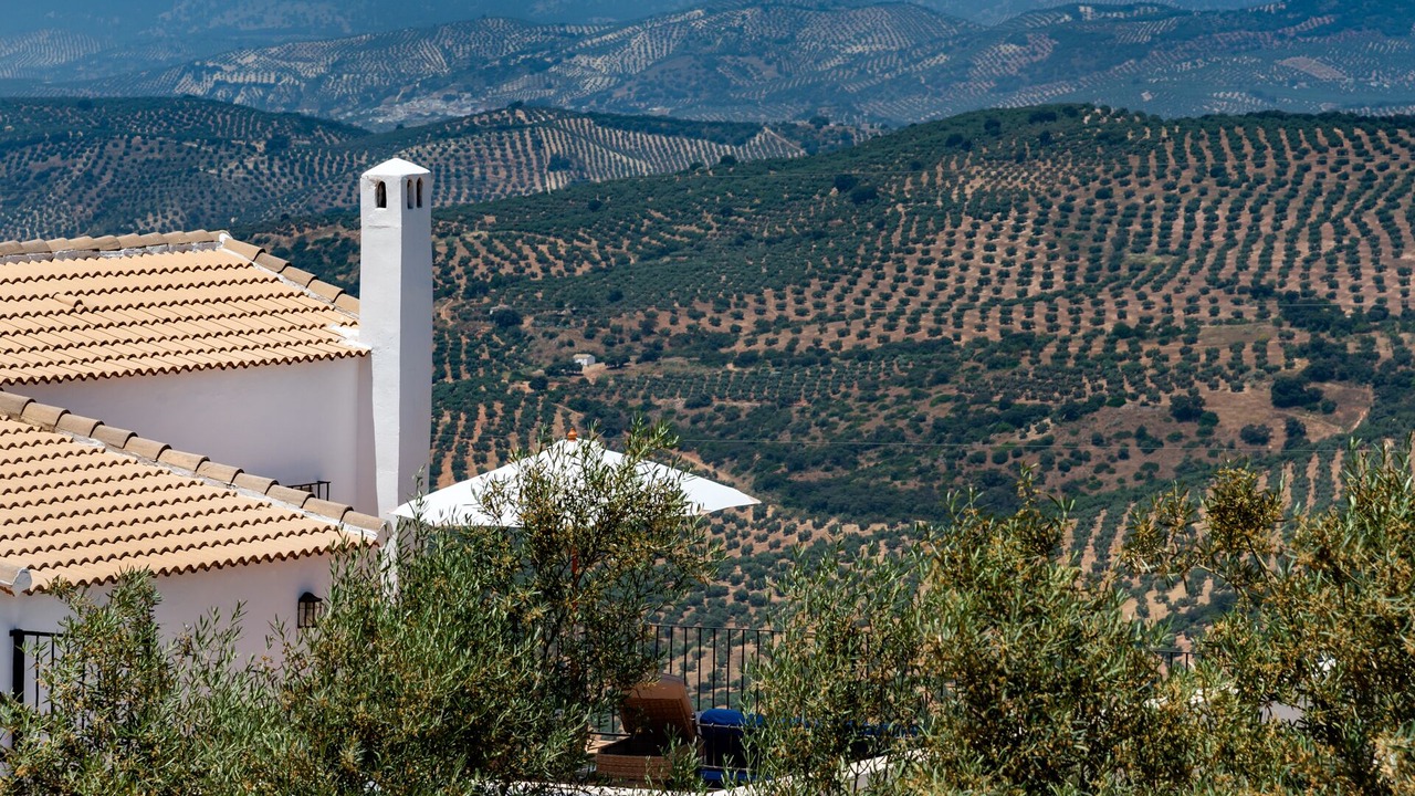 Photo of Outdoor in Loja