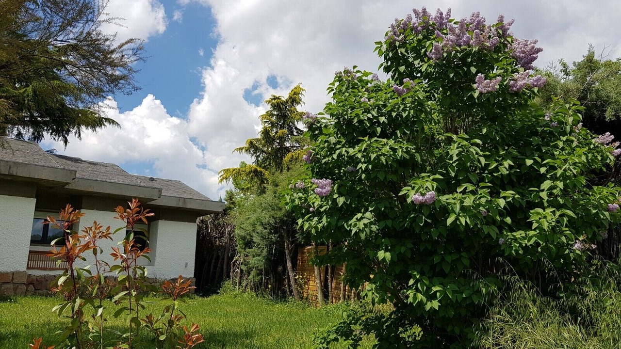 Photo of Outdoor in Alpedrete