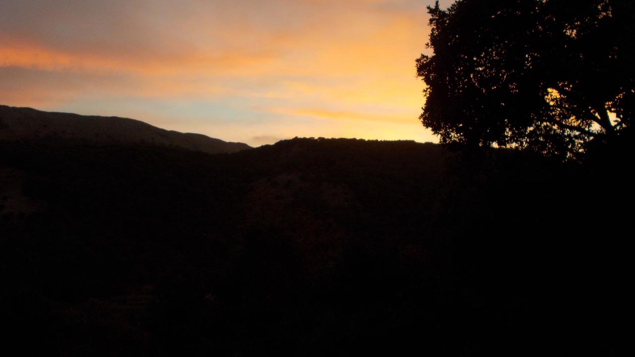 Photo of Outdoor in Zafarraya
