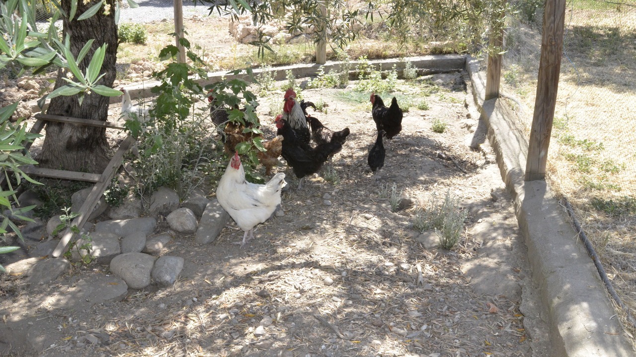 Photo of Outdoor in Las Gabias