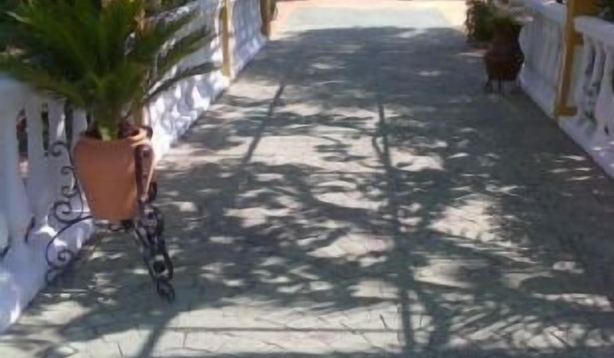 Photo of Outdoor in Carcabuey
