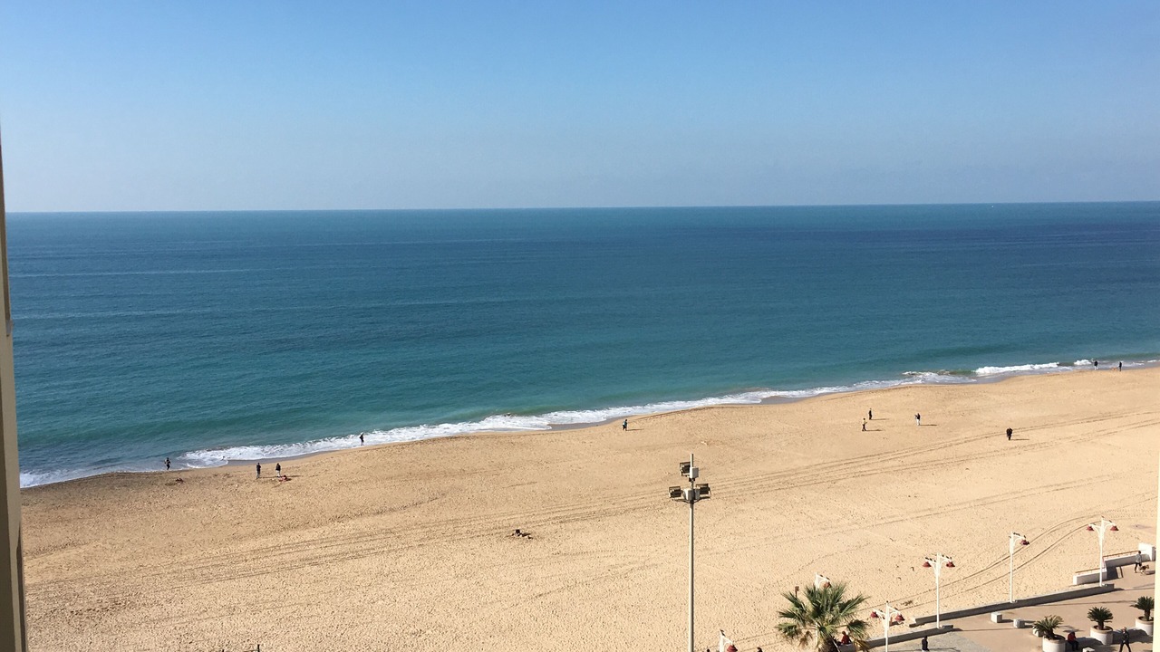Photo of Others in Cadiz