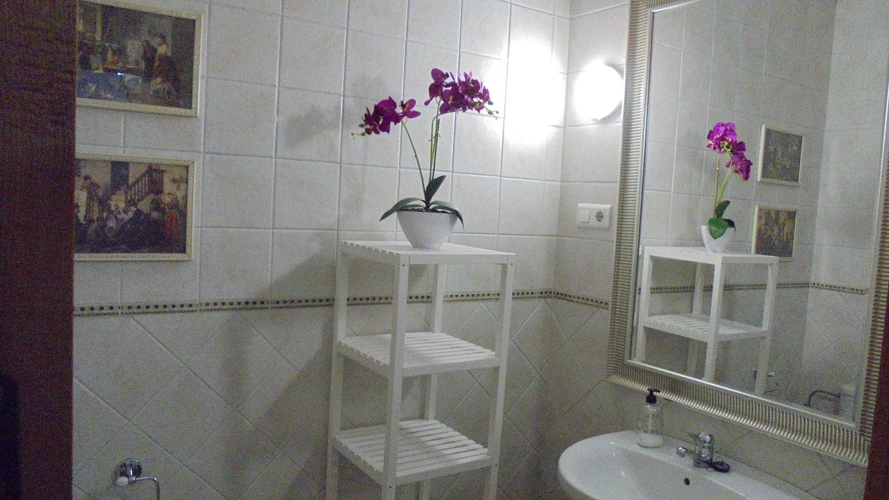 Photo of Bathroom in Chilches