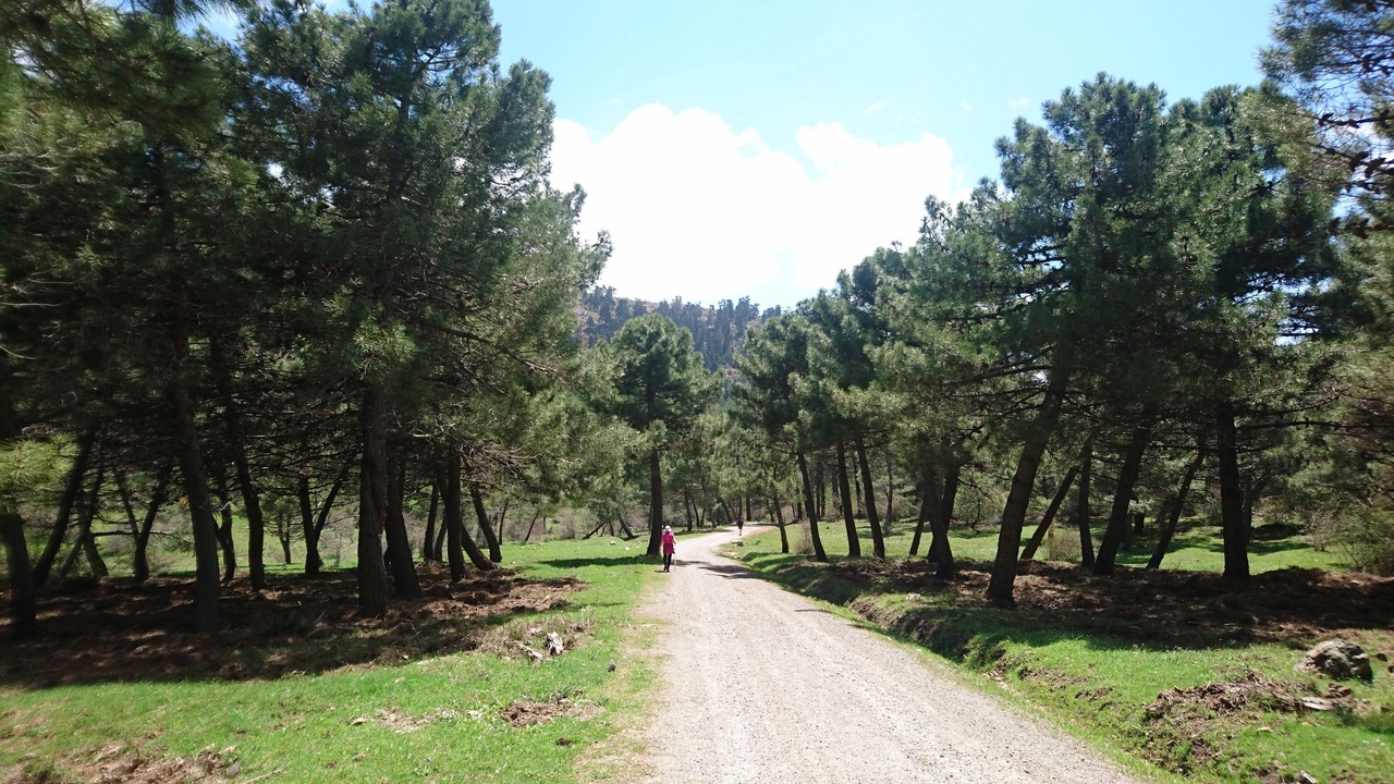 Photo of Others in Ronda
