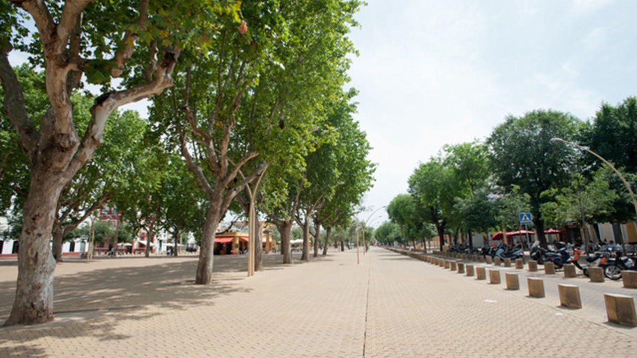 Photo of Others in Feria