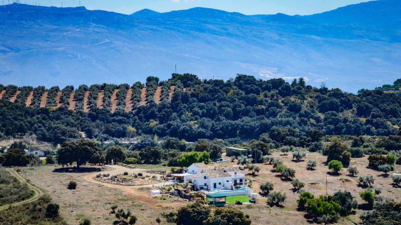 Photo of Outdoor in Algarinejo