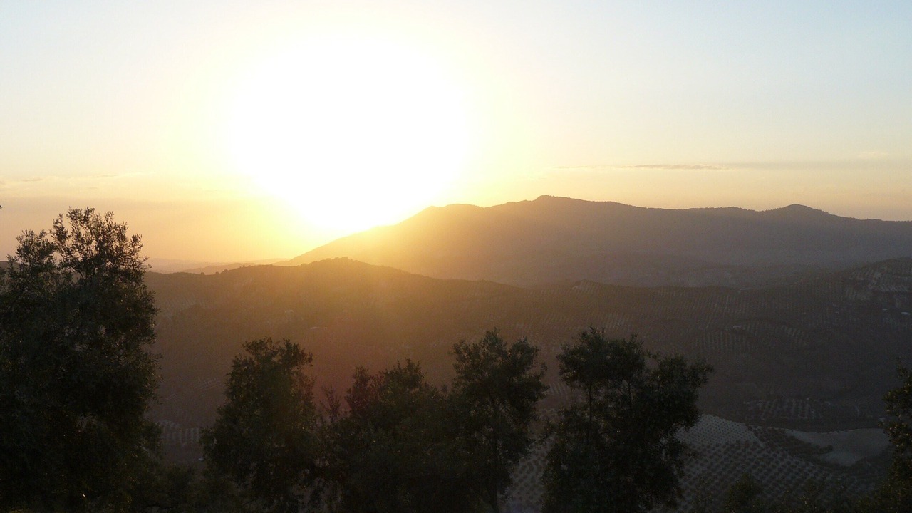 Photo of Others in Algarinejo
