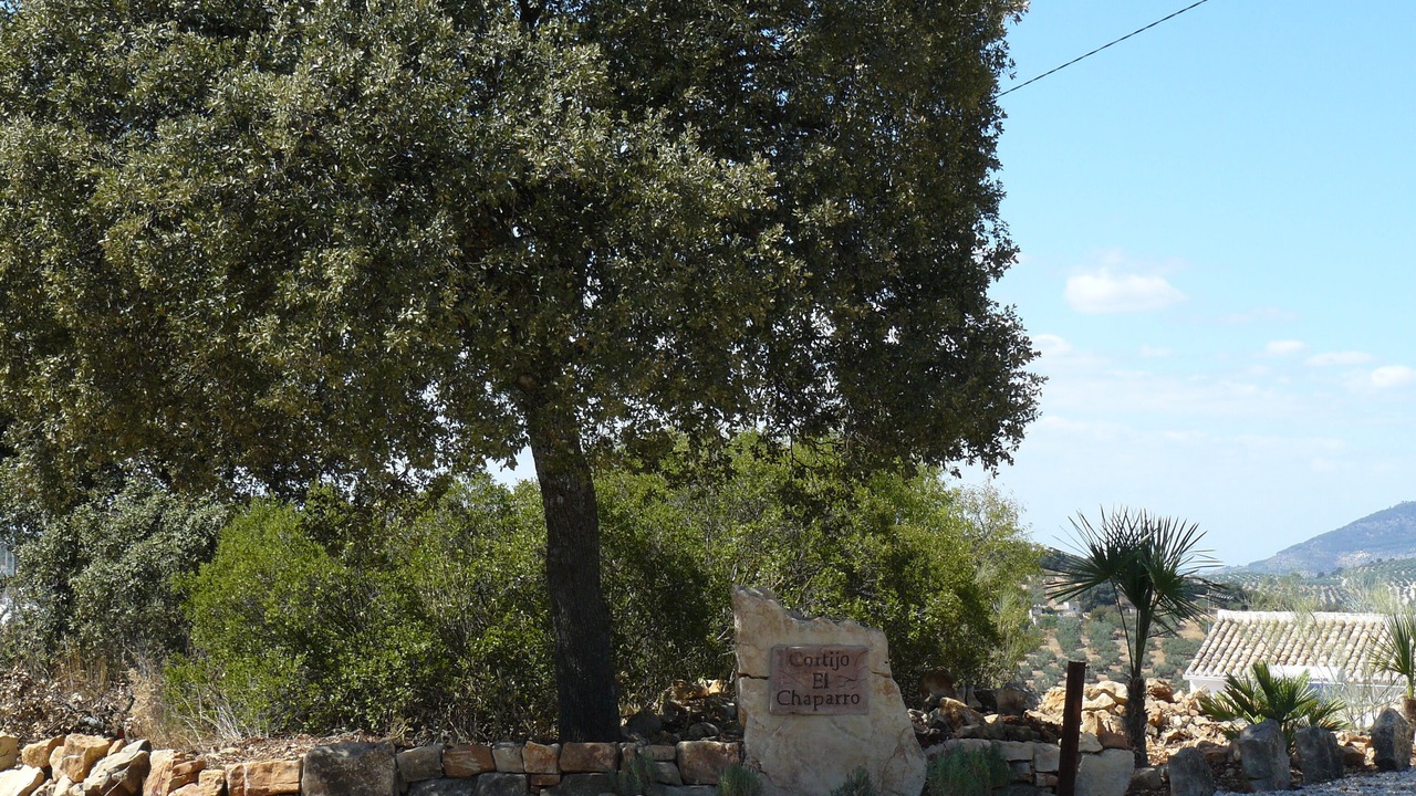 Photo of Others in Algarinejo