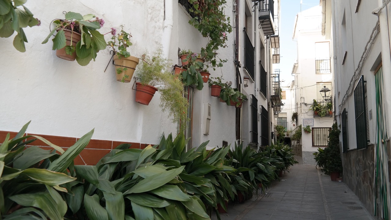 Photo of Outdoor in Guejar Sierra