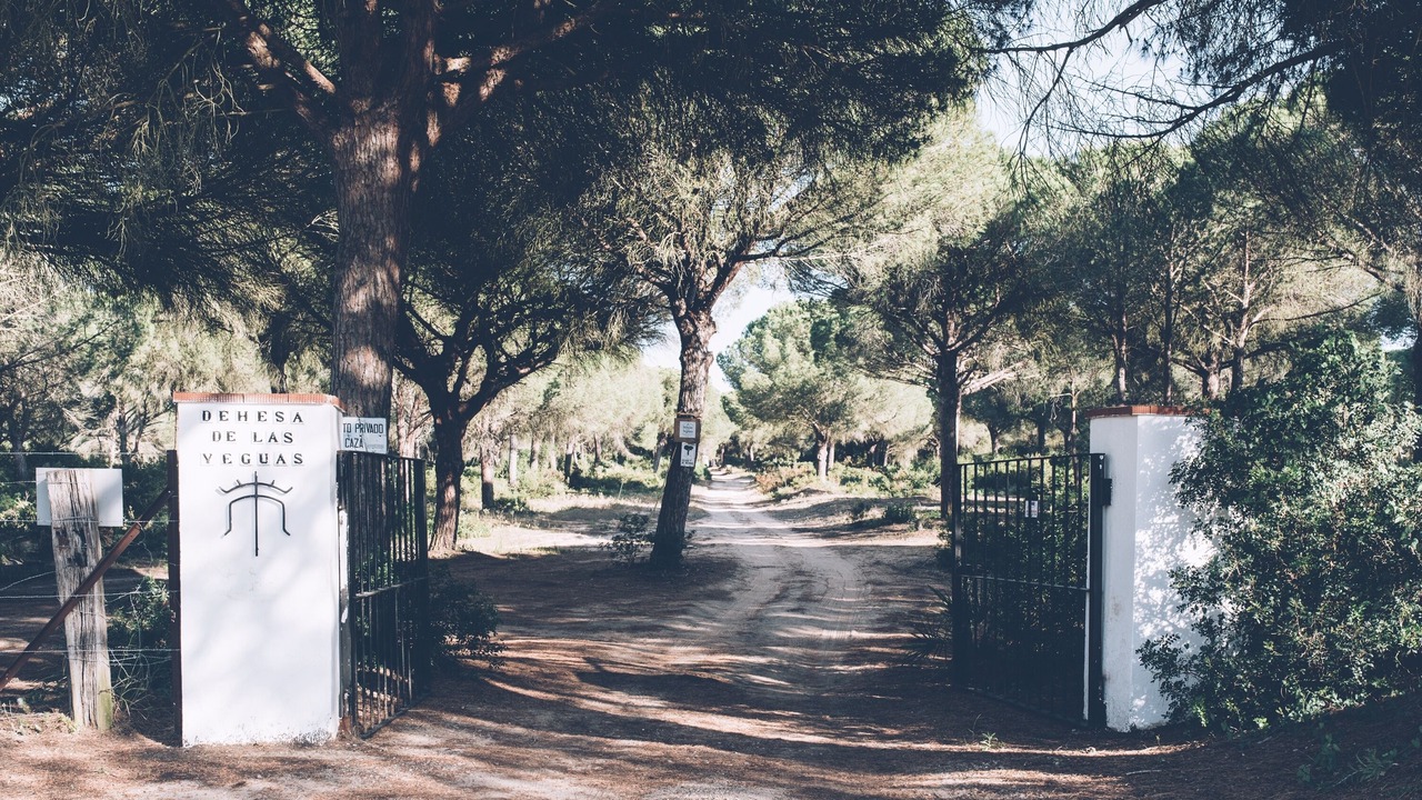 Photo of Outdoor in Puerto Real