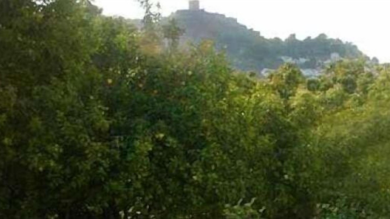 Photo of Outdoor in Jimena de la Frontera