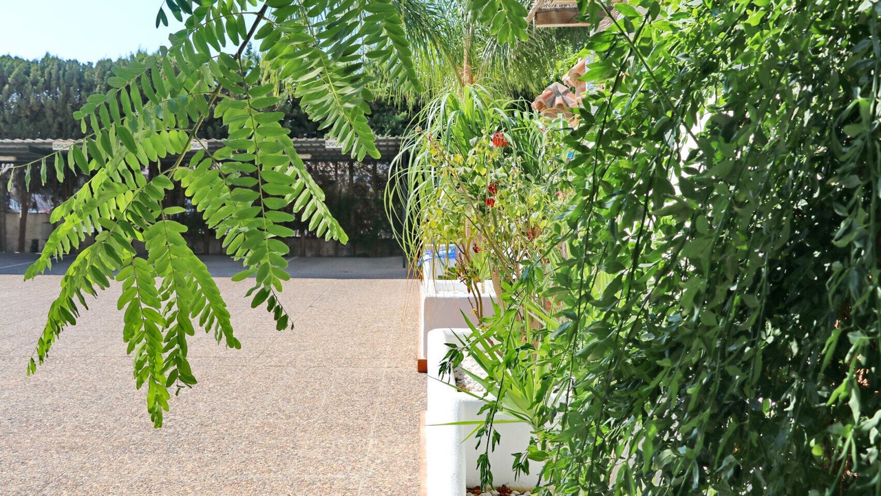 Photo of Outdoor in Conil de la Frontera
