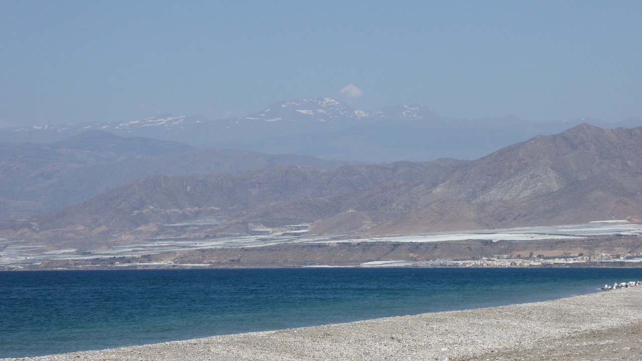 Photo of Others in Almerimar