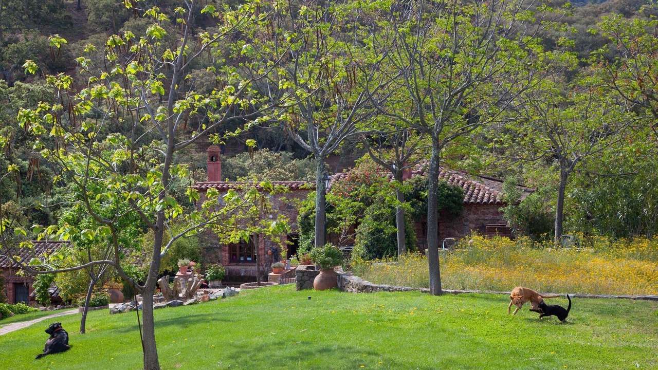 Photo of Outdoor in Alajar