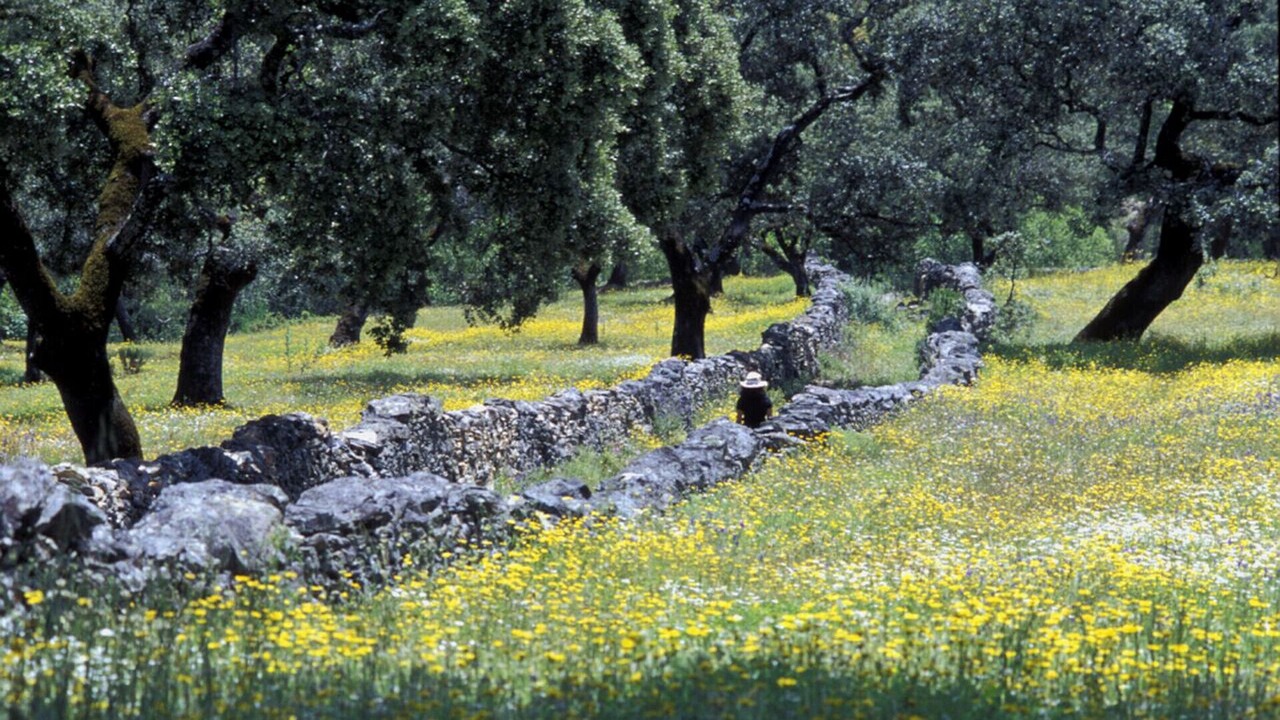 Photo of Outdoor in Alajar