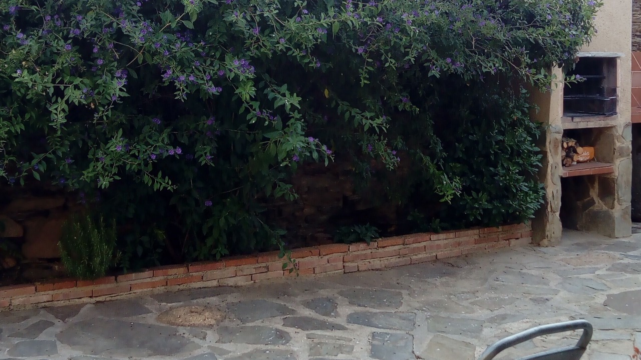 Photo of Outdoor in Botija