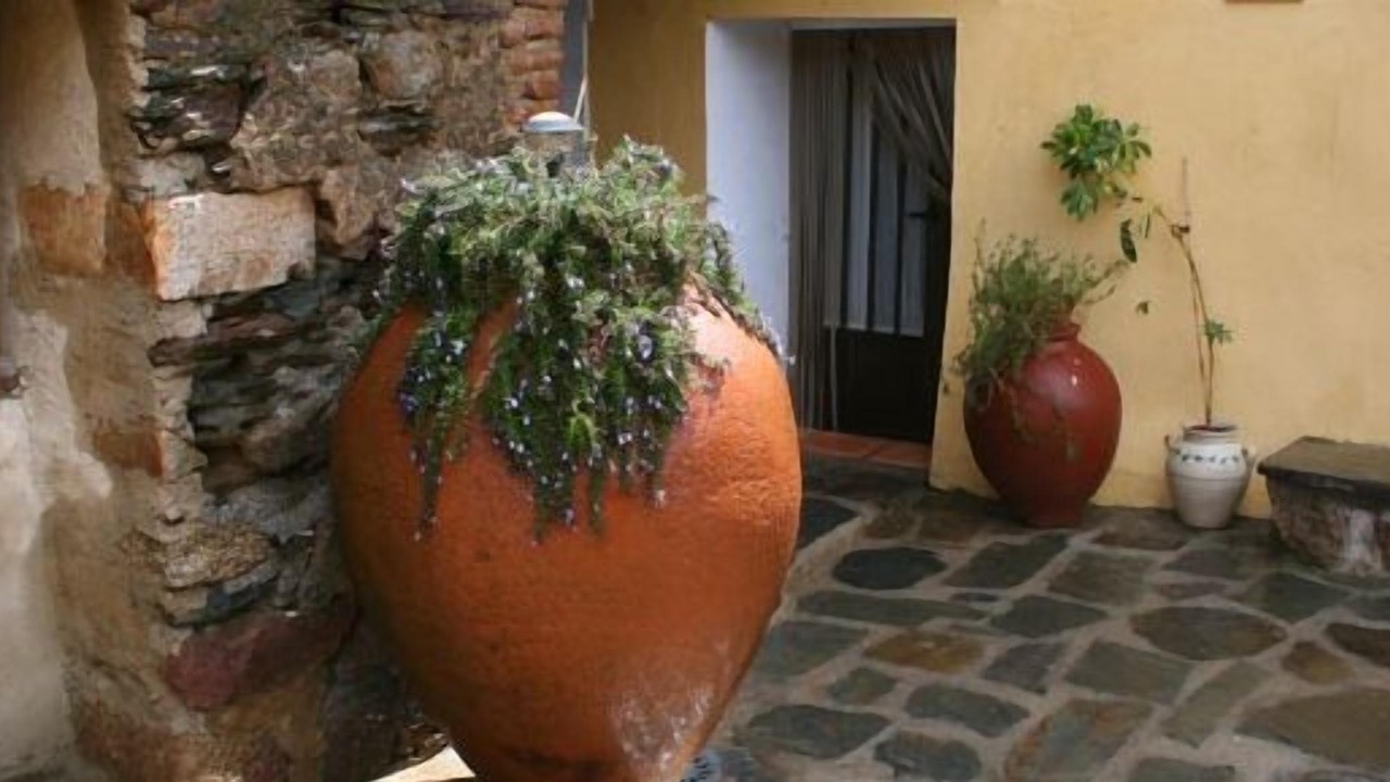 Photo of Outdoor in Botija