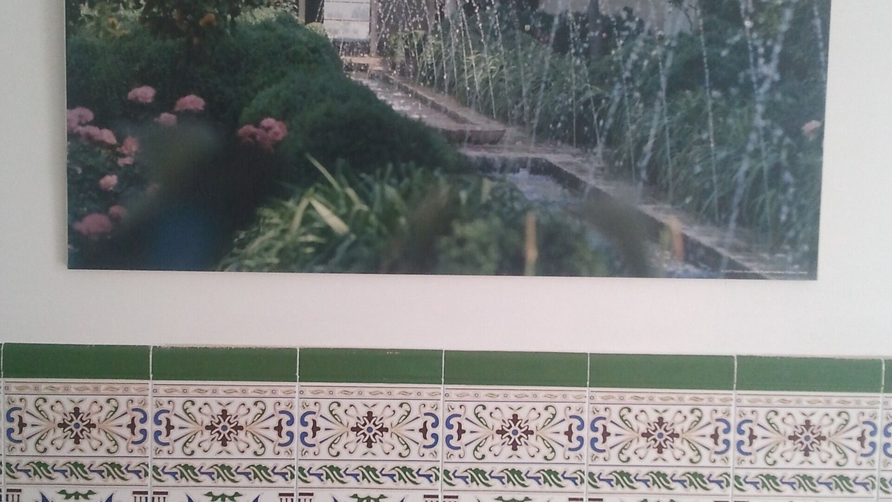 Photo of Others in Algodonales