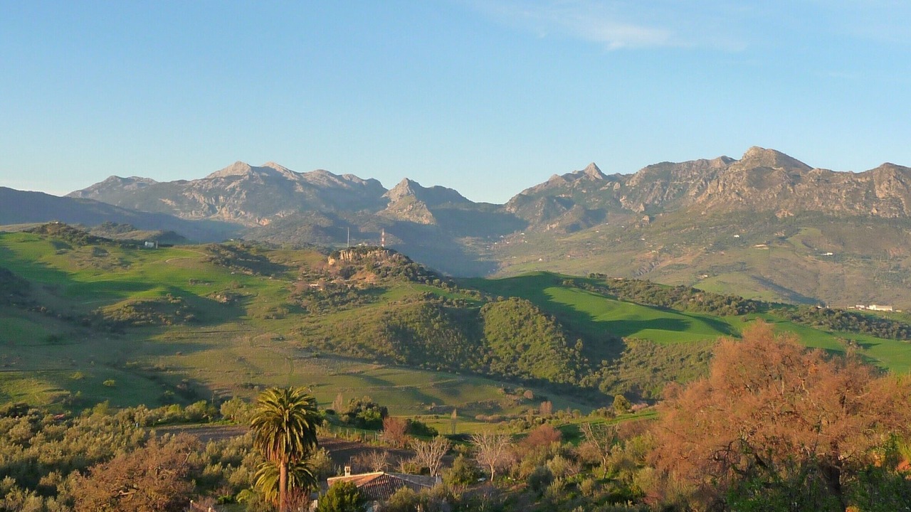 Photo of Others in Montecorto