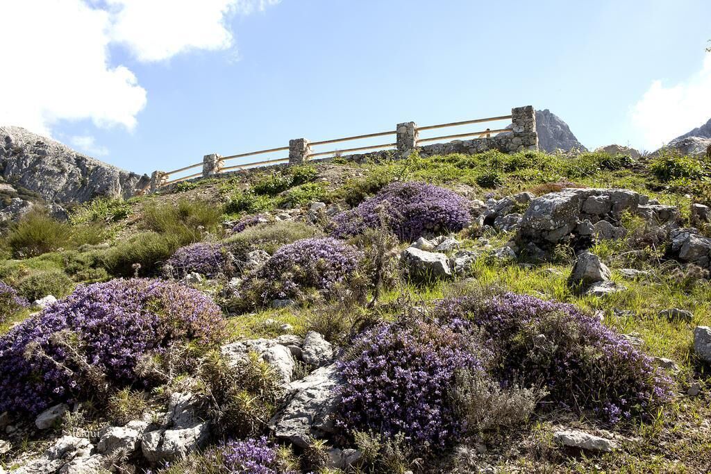 Photo of Outdoor in Villanueva del Rosario