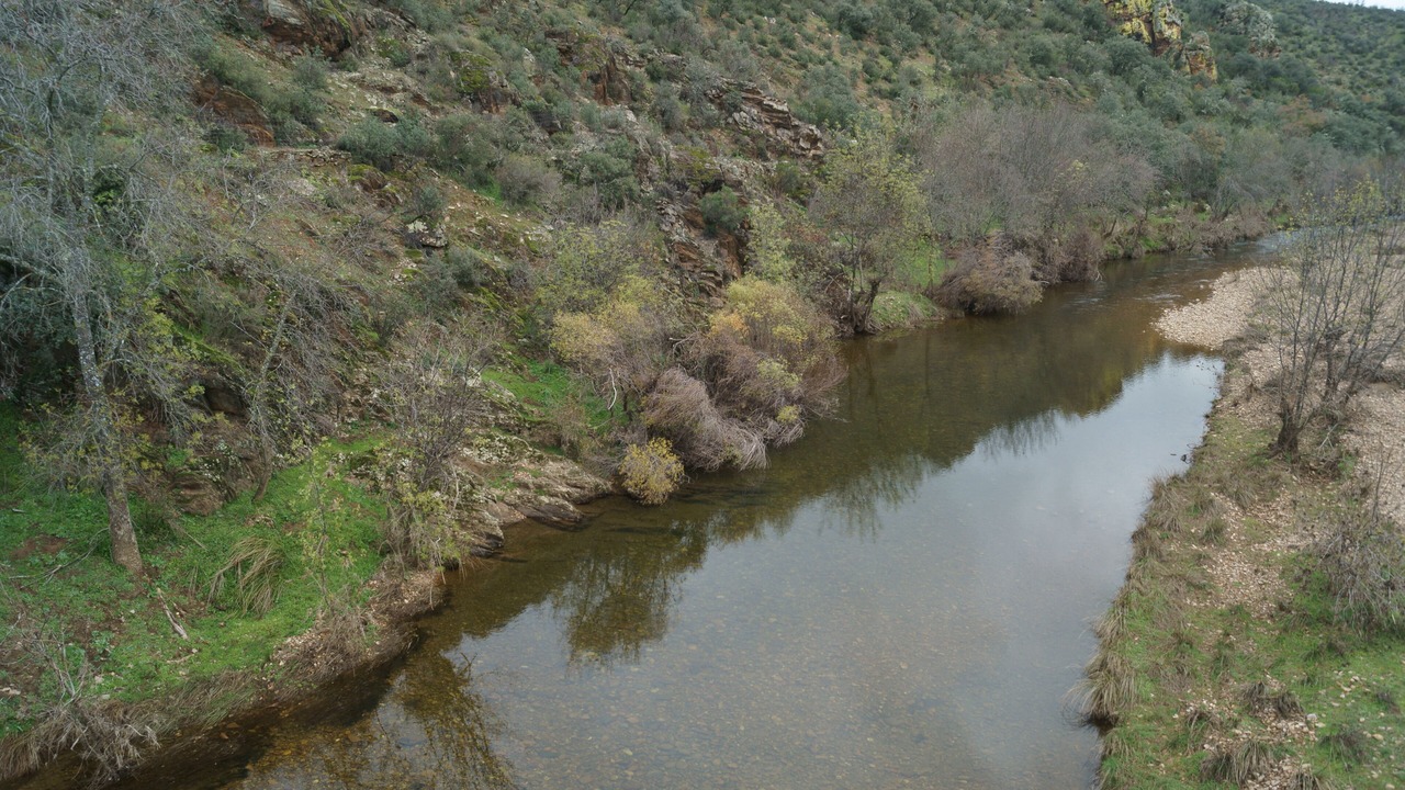 Photo of Others in Horcajo de los Montes