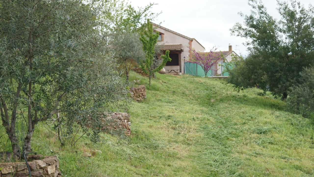 Photo of Outdoor in Horcajo de los Montes
