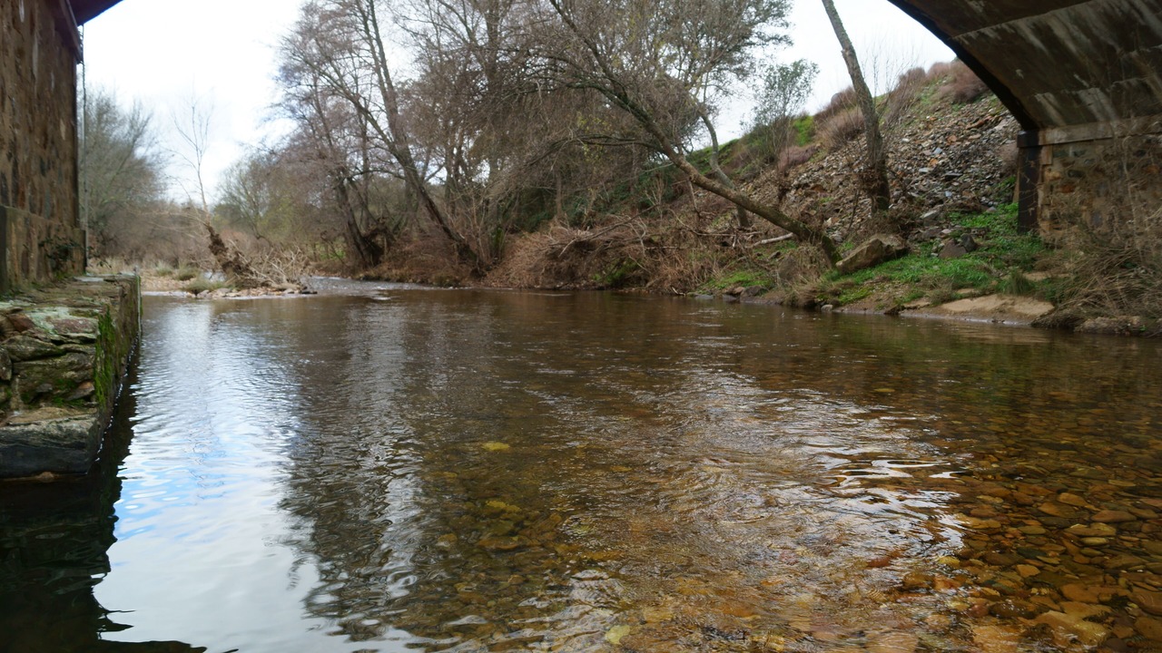 Photo of Others in Horcajo de los Montes