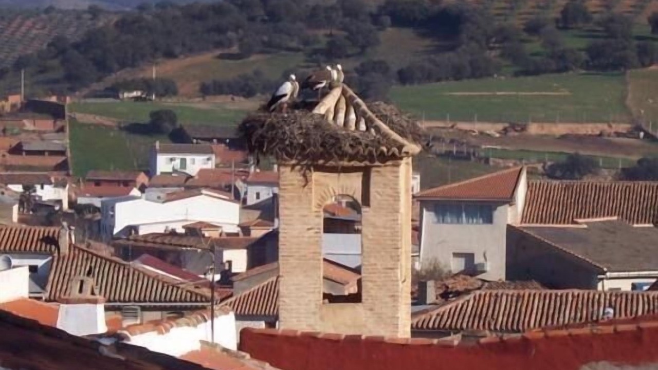 Photo of Outdoor in Horcajo de los Montes
