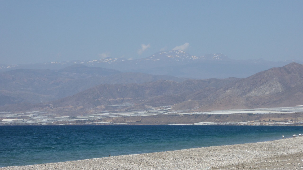 Photo of Others in Almerimar