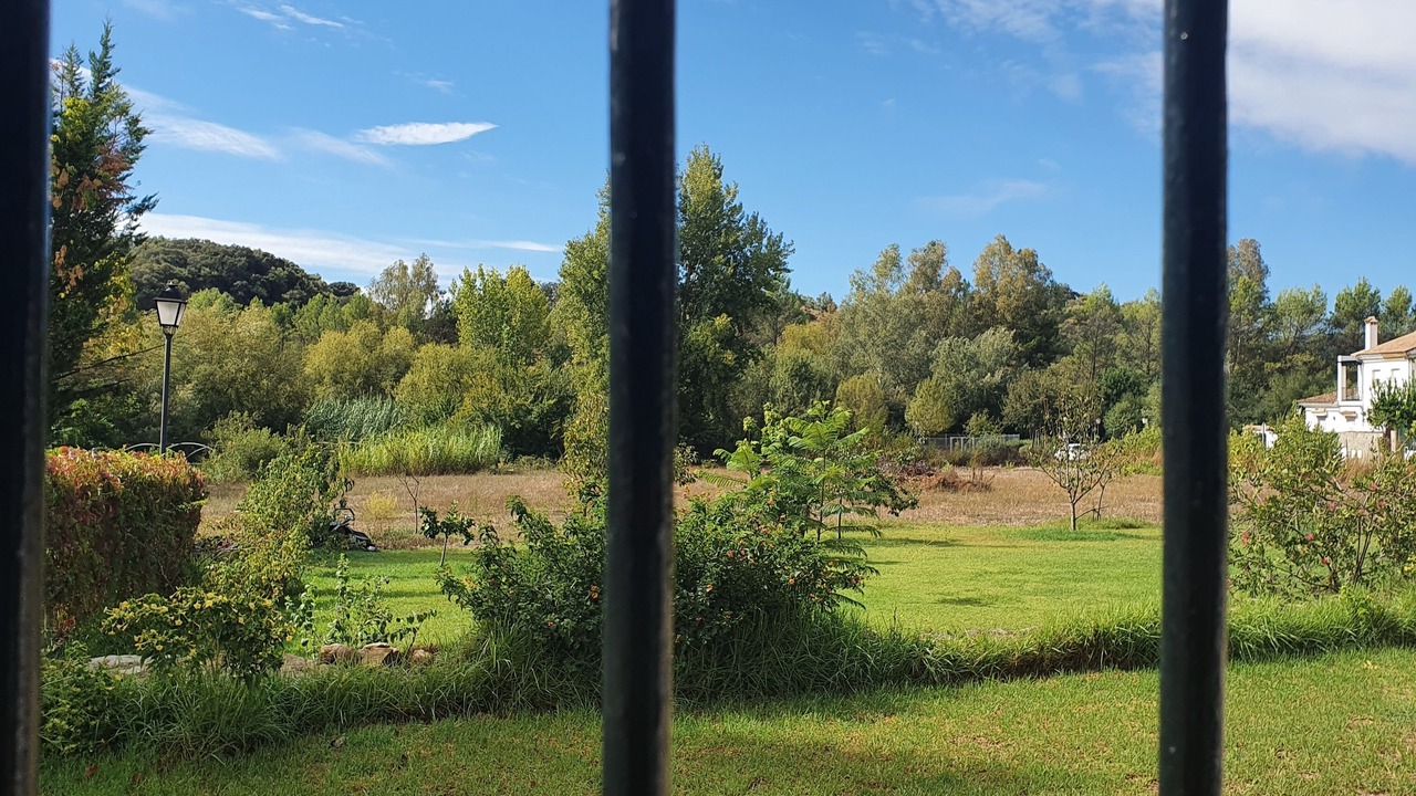 Photo of Outdoor in El Bosque