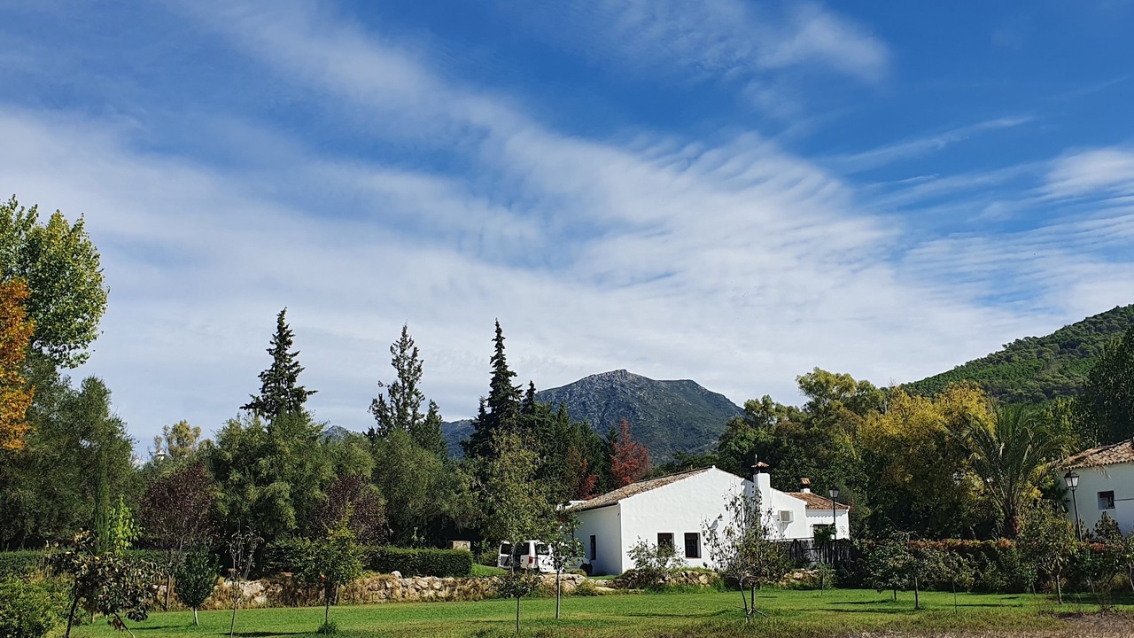 Photo of Outdoor in El Bosque