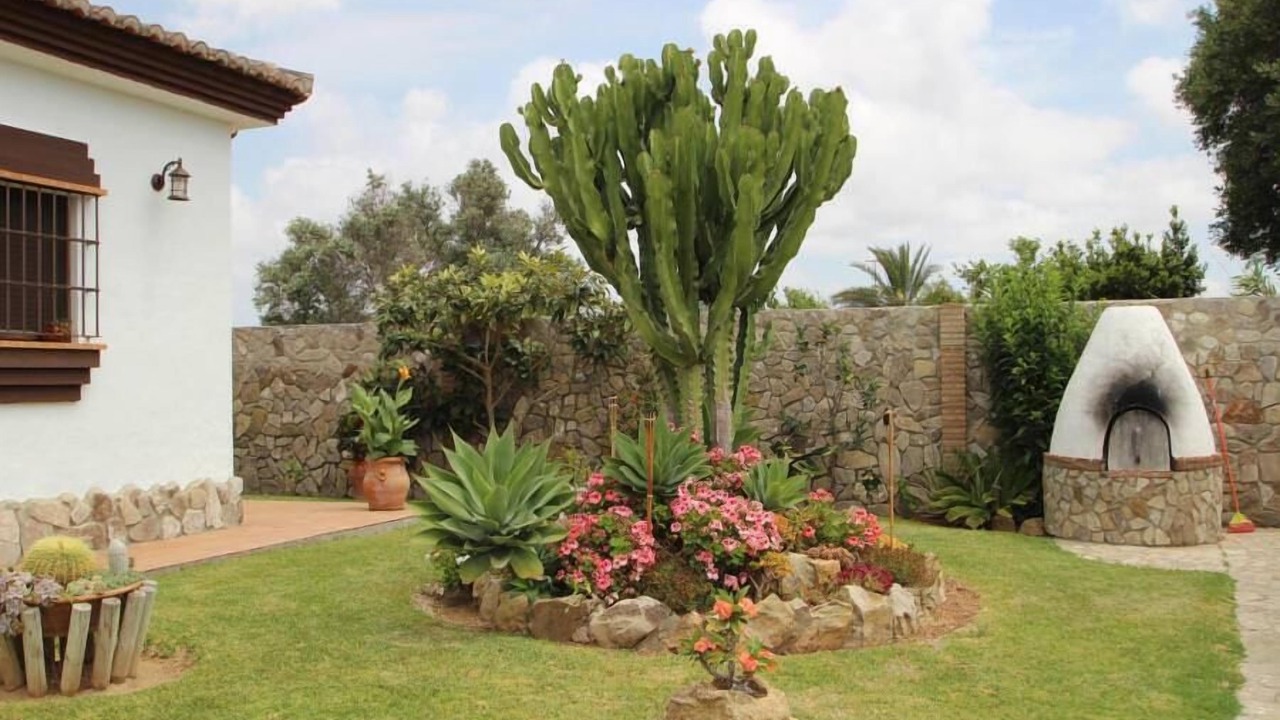 Photo of Outdoor in Conil de la Frontera